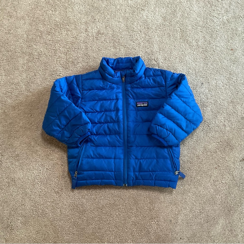 Patagonia Vibrant Blue Puffer Jacket
